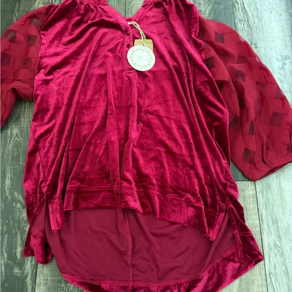 Umgee Burgundy Velvet Blouse with Sheer Patterned Sleeves - Picture 1 of 5